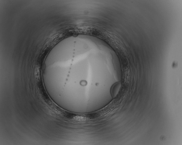 X0000094370699200711242000