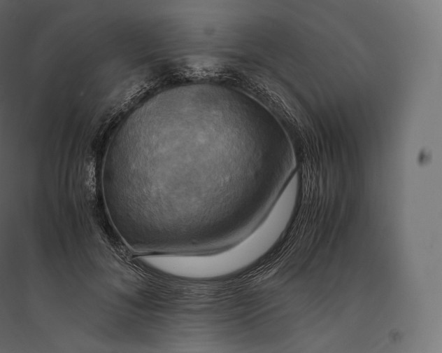 X0000094370700200711242000