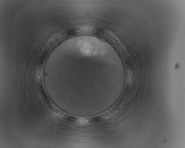 X0000094370701200711242000