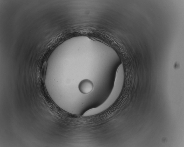 X0000094370704200711242000