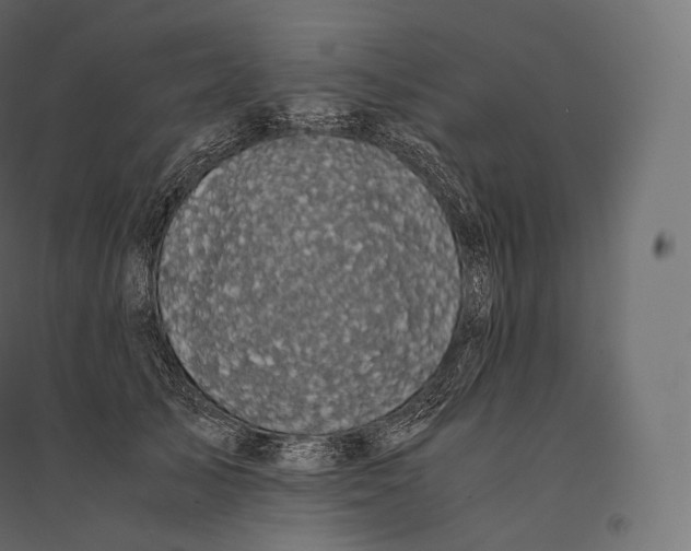 X0000094370705200711242000