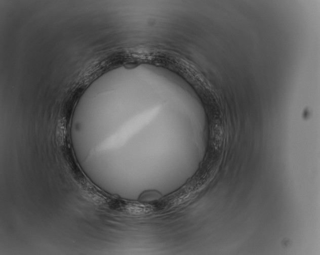 X0000094370707200711242000