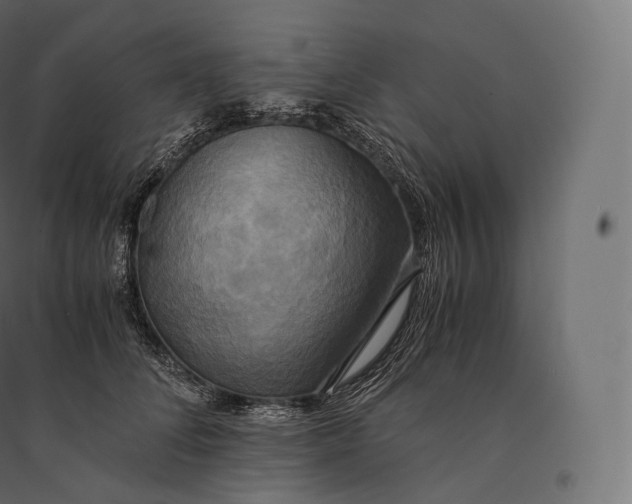 X0000094370708200711242000