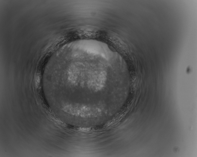 X0000094370709200711242000