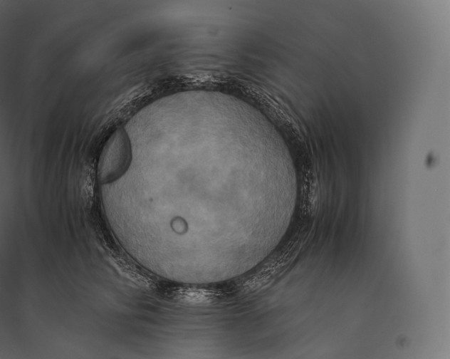 X0000094370710200711242000