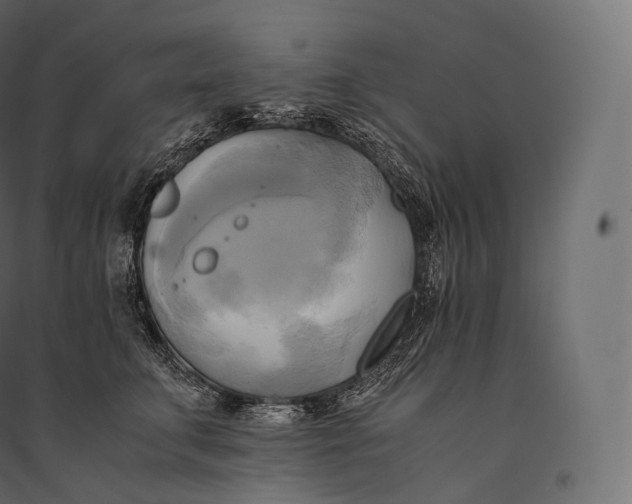 X0000094370711200711242000