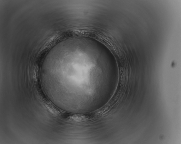 X0000094370712200711242000