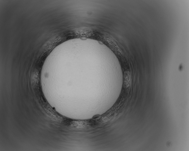 X0000094370713200711242000