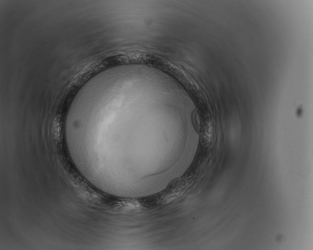 X0000094370715200711242000