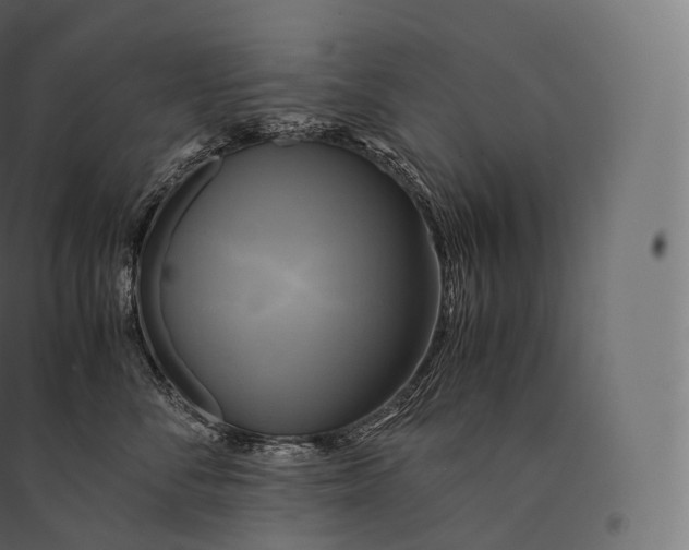 X0000094370716200711242000