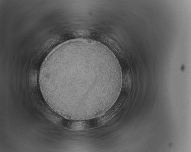 X0000094370717200711242000