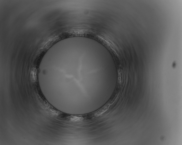 X0000094370718200711242000