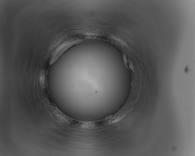 X0000094370720200711242000