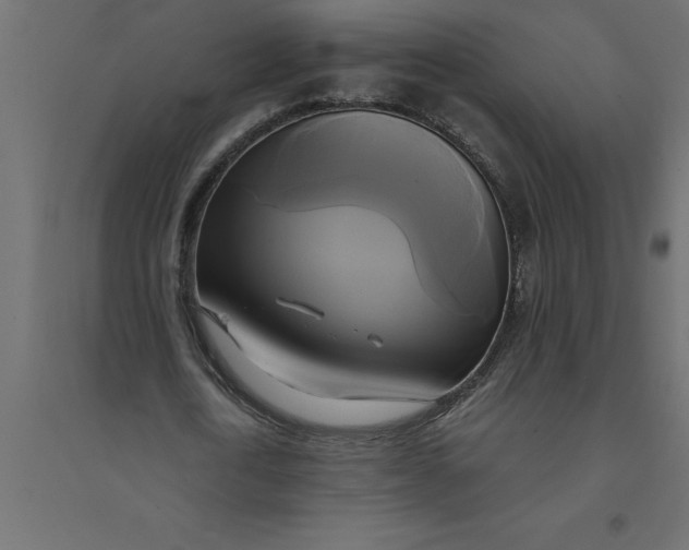 X0000094370722200711241959