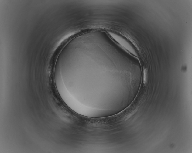 X0000094370723200711241959