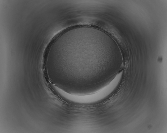 X0000094370724200711241959