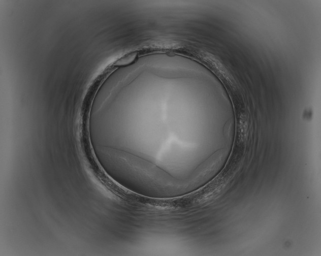 X0000094370726200711241959