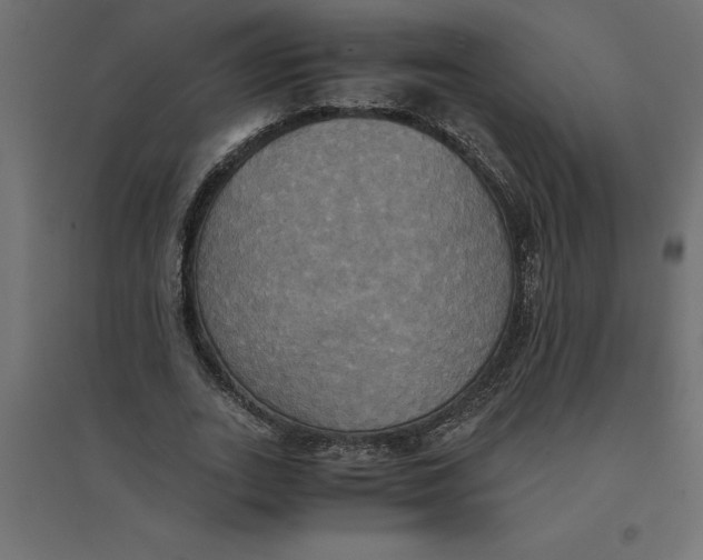 X0000094370727200711241959