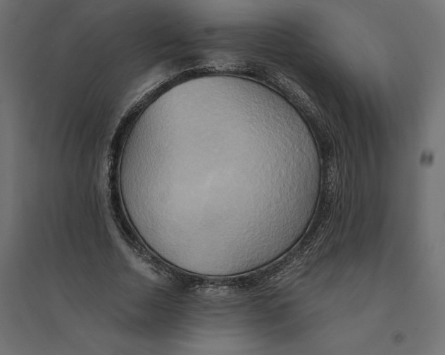 X0000094370730200711241959