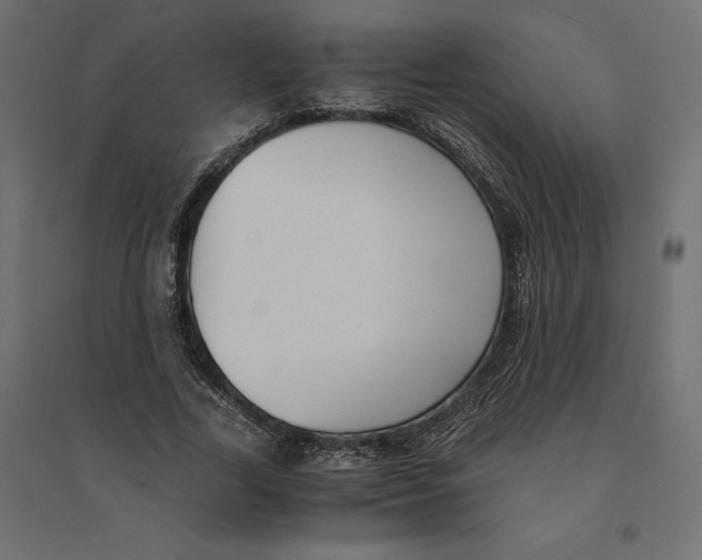 X0000094370731200711241959