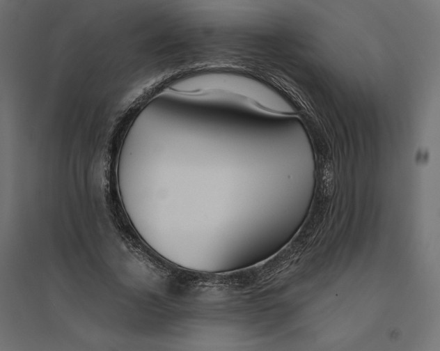 X0000094370732200711241959