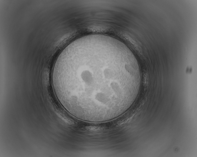 X0000094370733200711241959