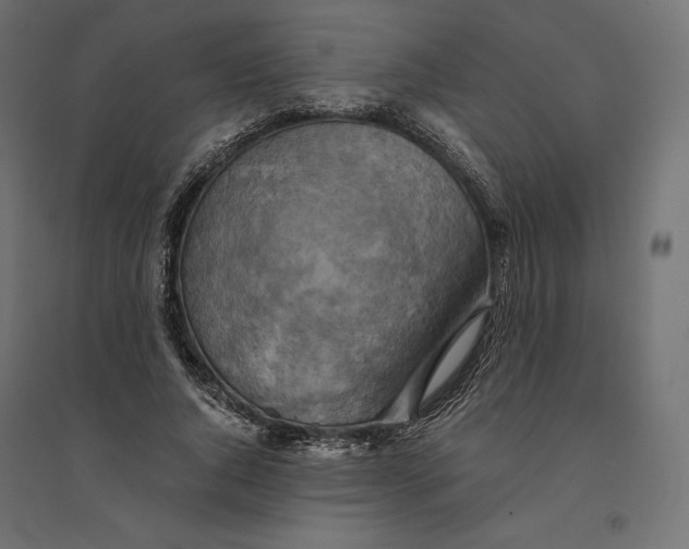 X0000094370736200711241959