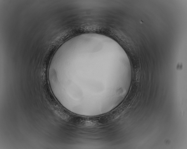 X0000094370737200711241959