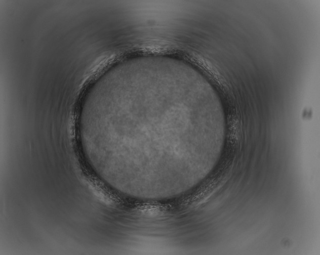 X0000094370738200711241959