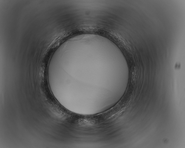 X0000094370739200711241959