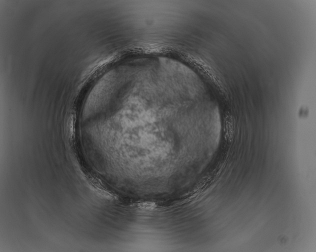 X0000094370740200711241959