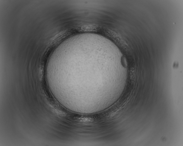 X0000094370741200711241959