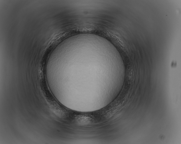 X0000094370743200711241959