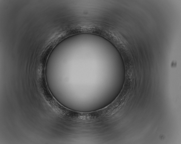 X0000094370744200711241959