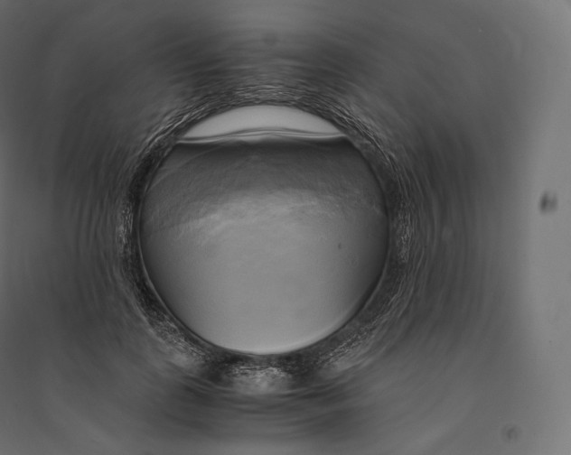 X0000094370747200711241959