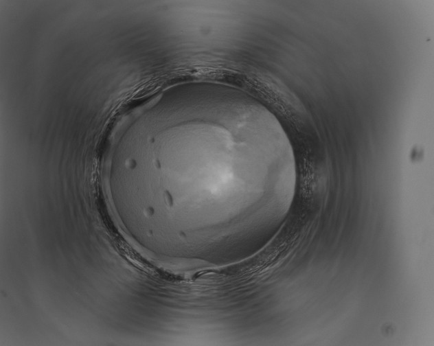 X0000094370748200711241959