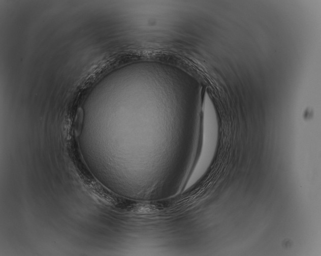 X0000094370750200711241959