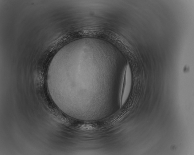 X0000094370751200711241959