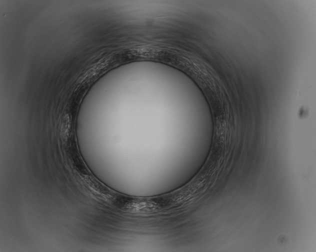 X0000094370752200711241959