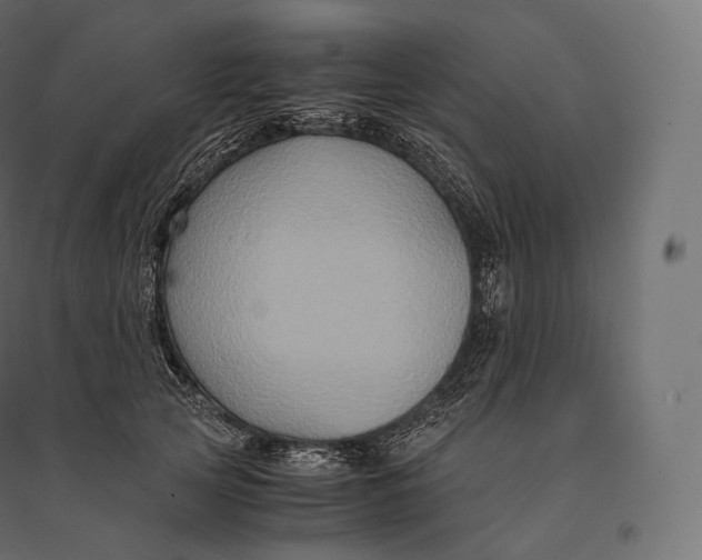 X0000094370753200711241959