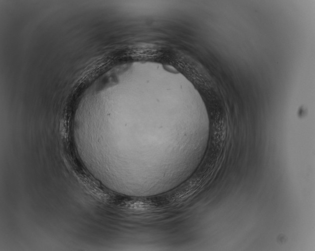 X0000094370755200711241959