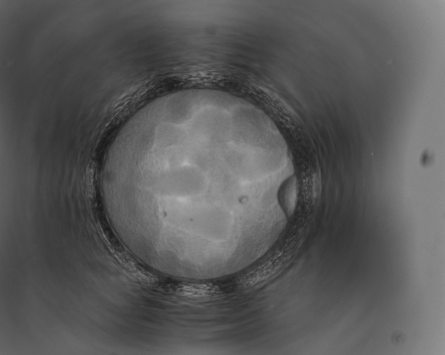 X0000094370757200711241959