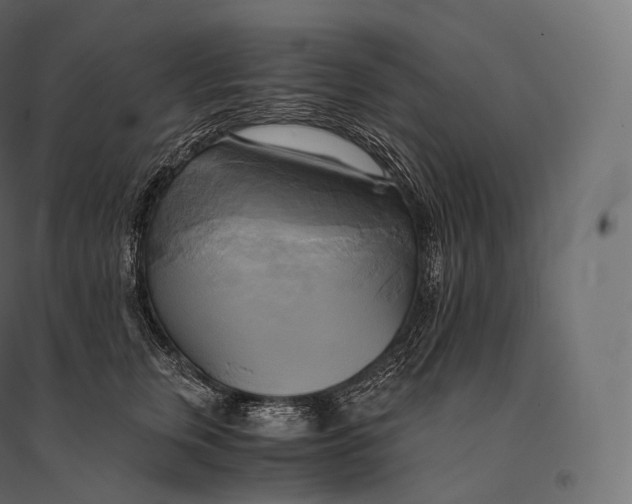 X0000094370759200711241959