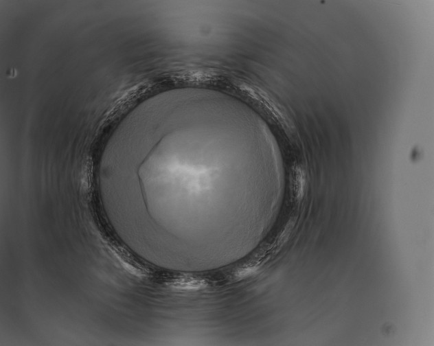 X0000094370760200711241959