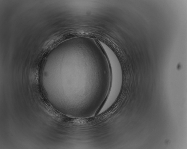 X0000094370762200711241959