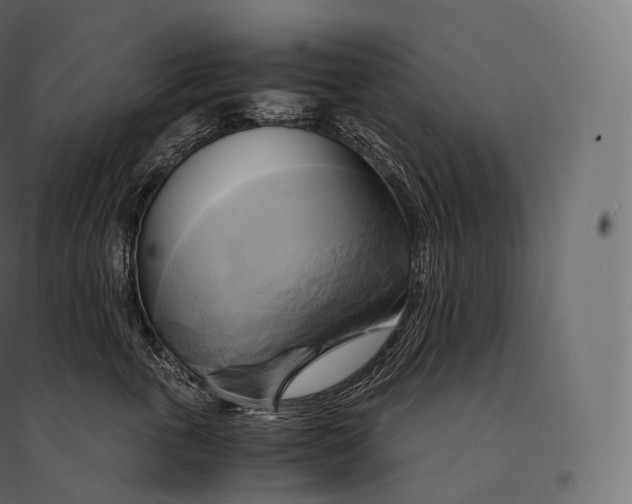 X0000094370763200711241959