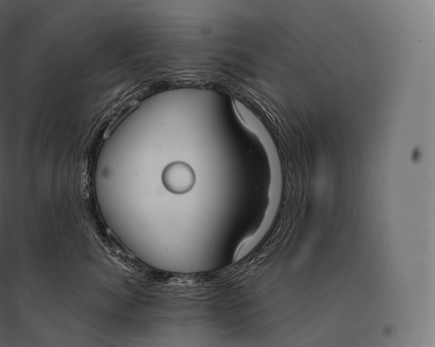 X0000094370764200711241959