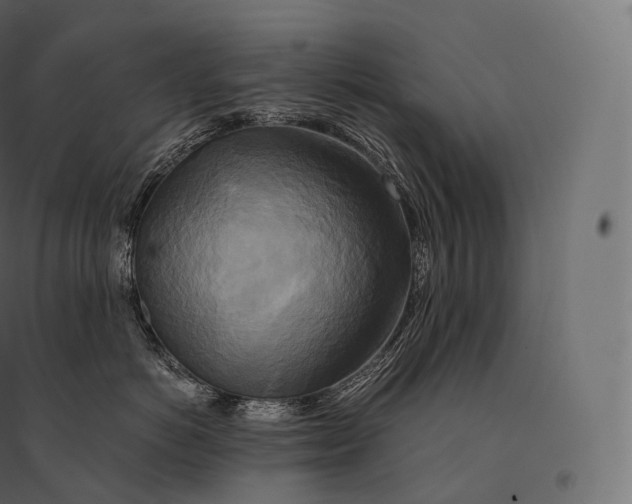 X0000094370766200711242000