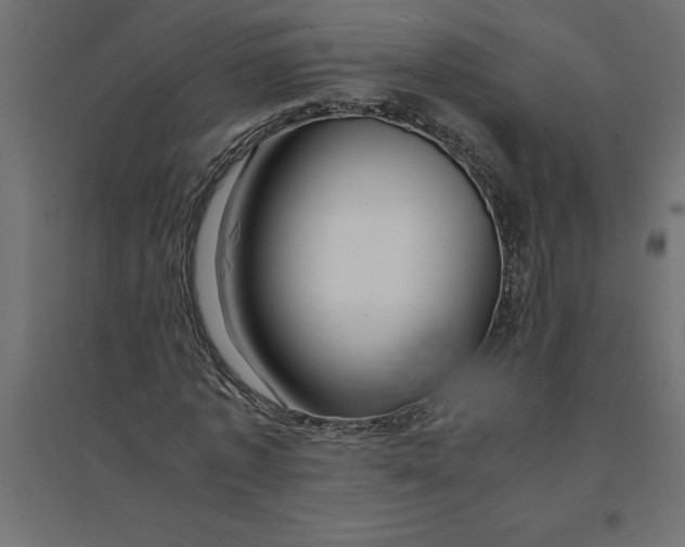 X0000094370773200711241959