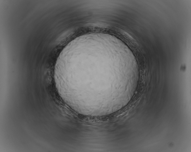 X0000094370774200711241959